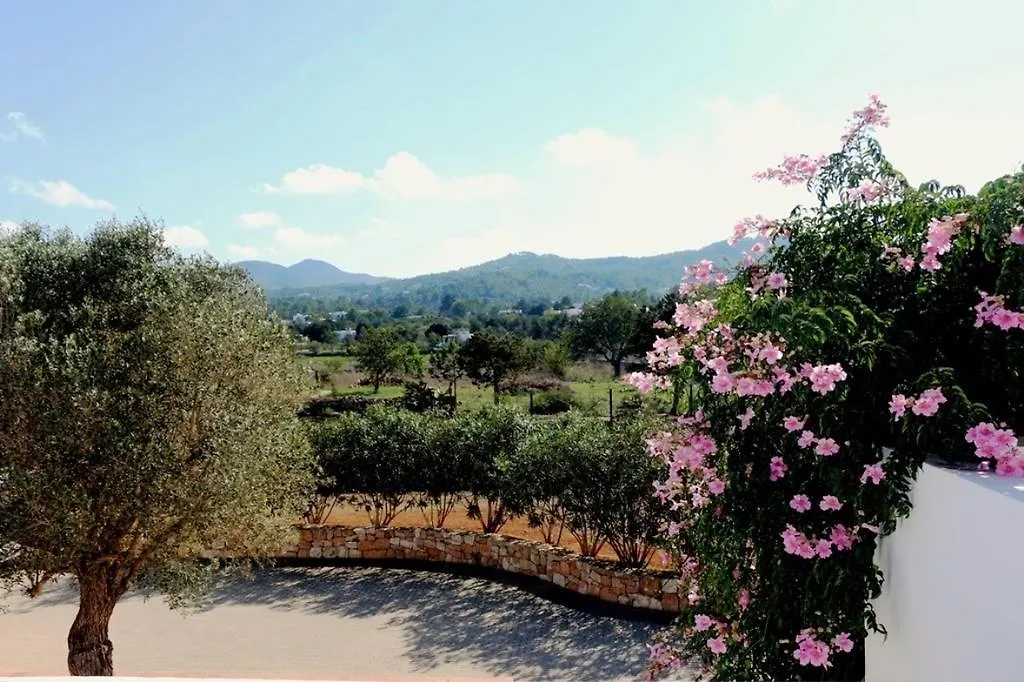 Villa Bellissima San Antonio