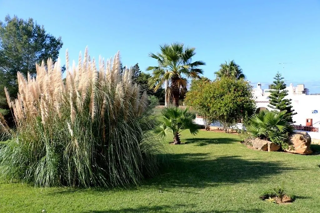 Villa Bellissima San Antonio  Spain